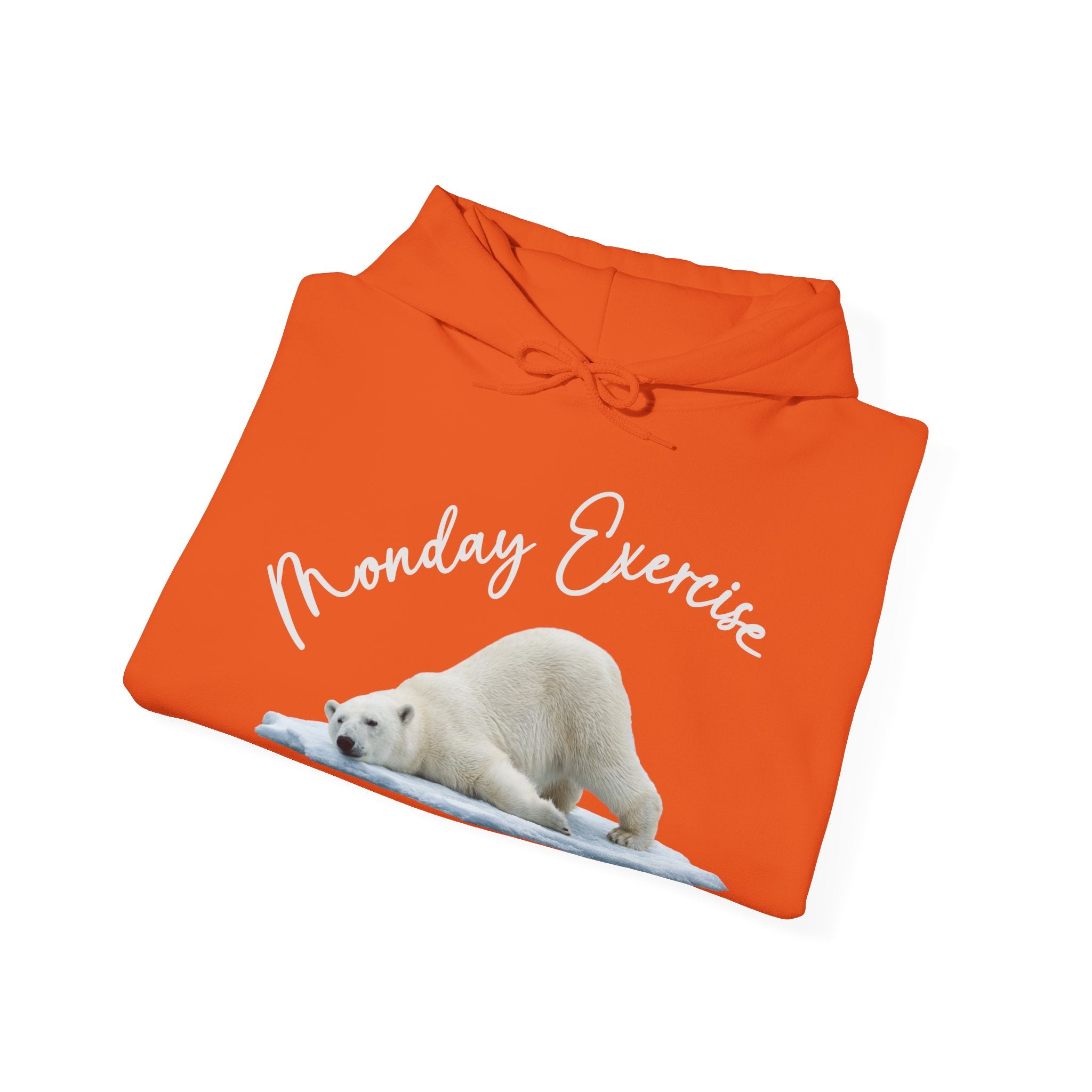 Eisbär „Monday Exercise" Hoodie | Phönix-Potsdam®